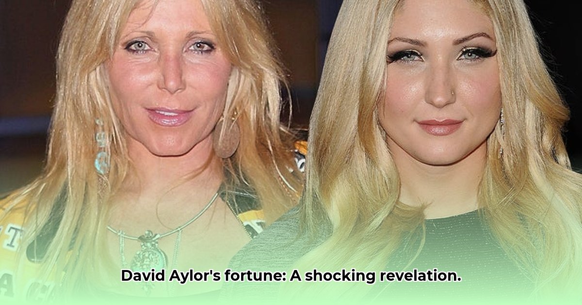 david-aylor-net-worth